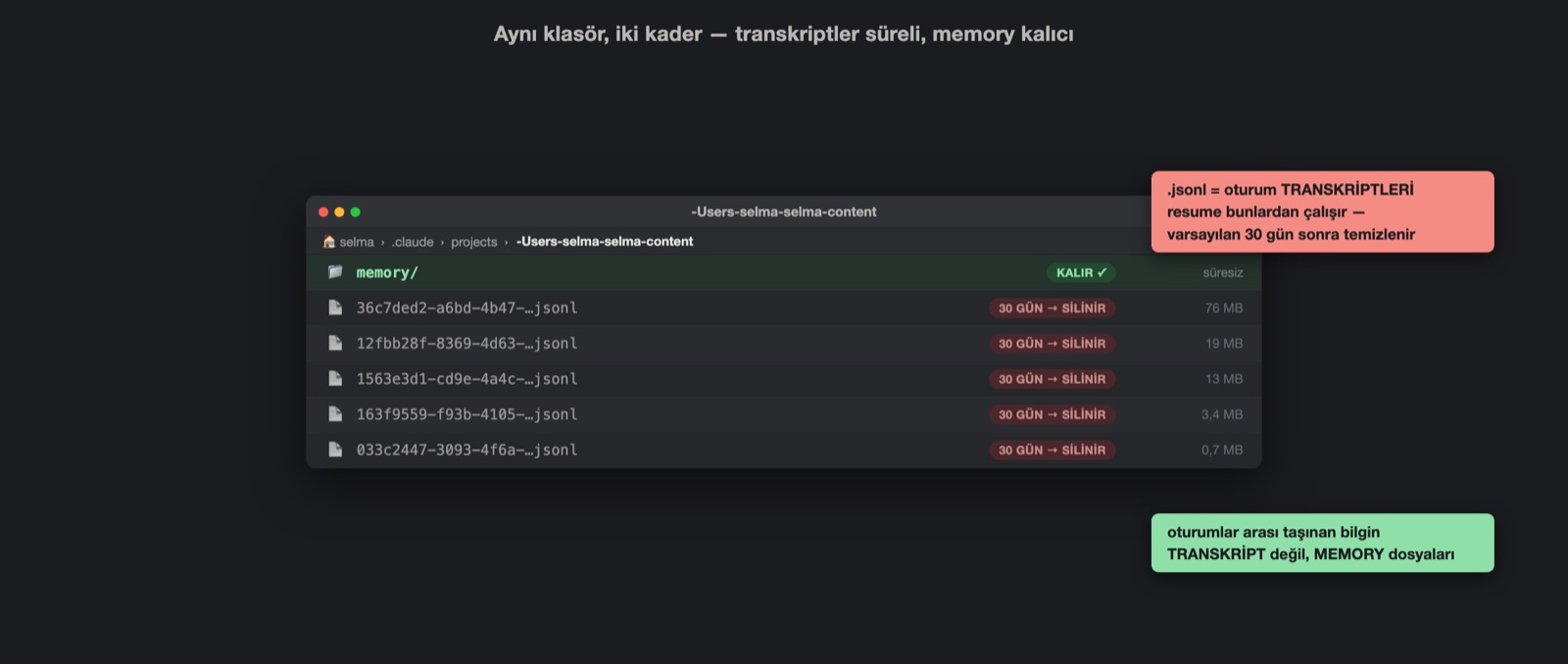 Two fates in the same project folder: transcripts are deleted after 30 days, the memory folder stays