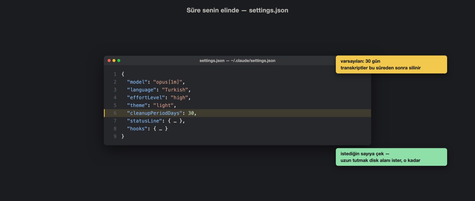The cleanupPeriodDays line in settings.json